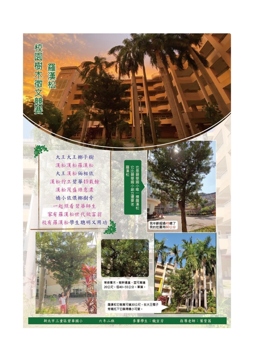比賽作品圖片