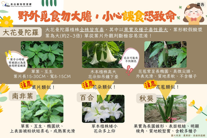 中毒事件圖片