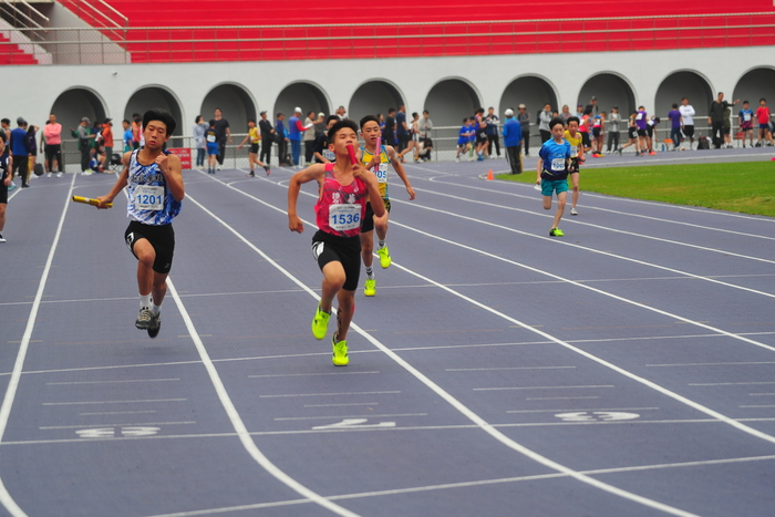 115年小學運動會比賽照片