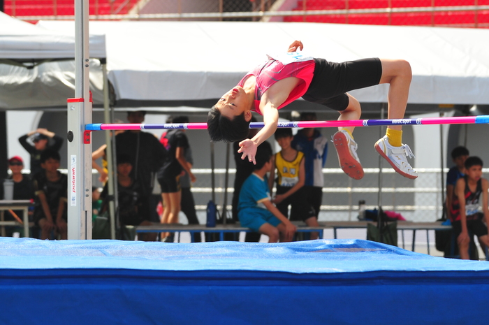 115年小學運動會比賽照片