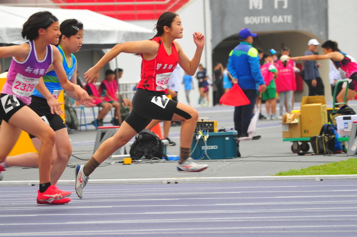 115年小學運動會比賽照片
