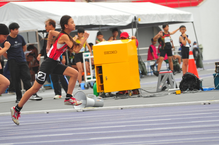 115年小學運動會比賽照片